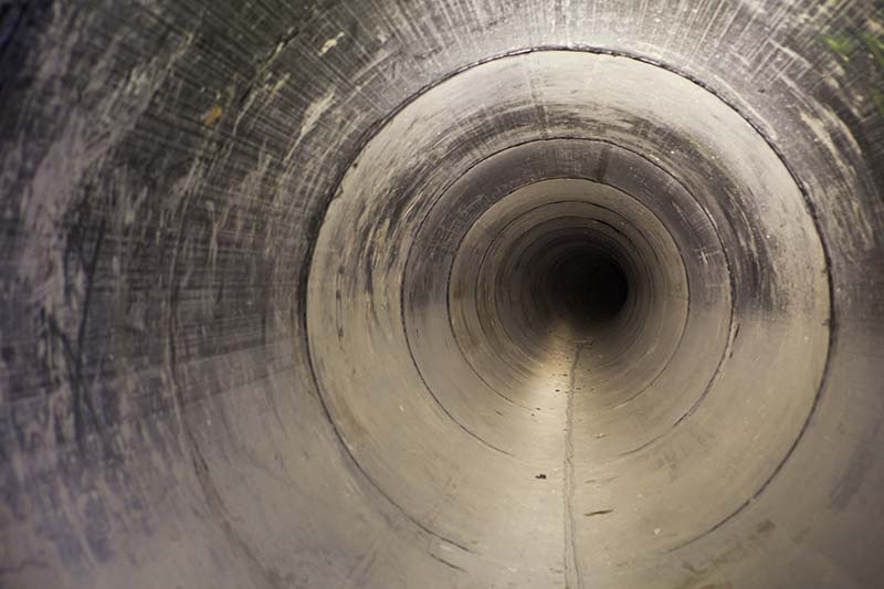 Sewer line seen by a sewer scope used while preforming home inspection services 